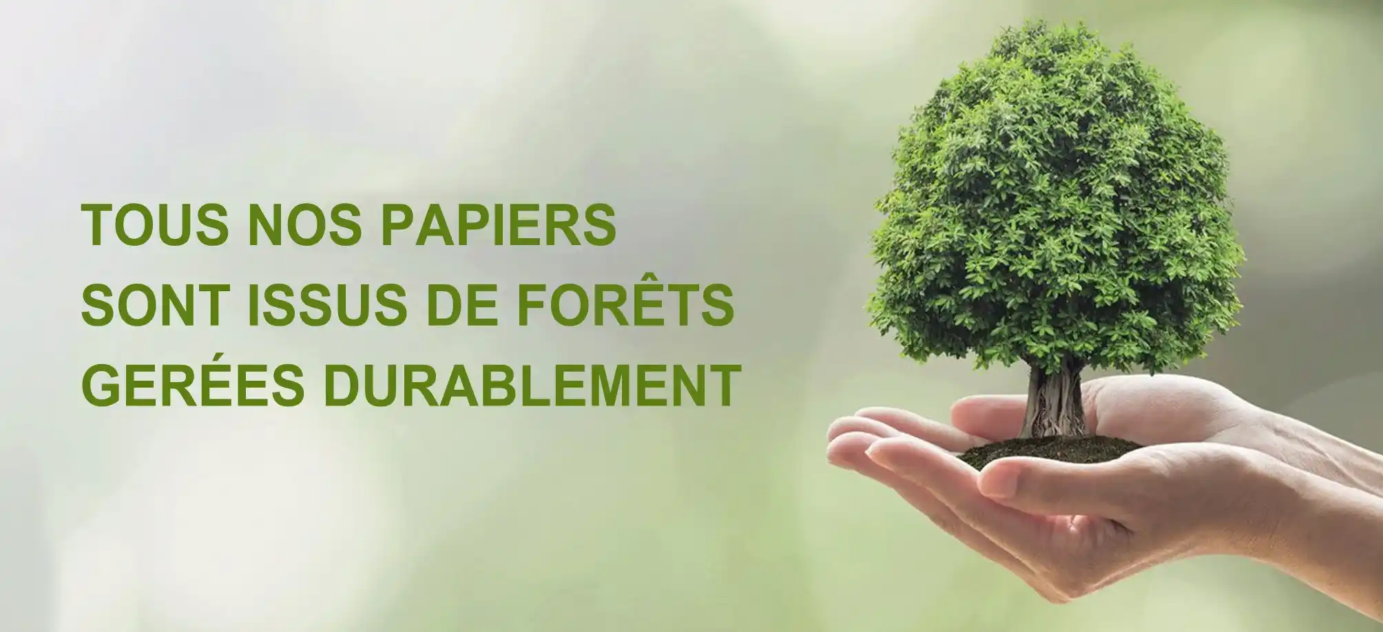Papiers issus de forêts gérées durablement